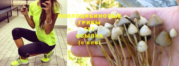 прущая мука Балахна